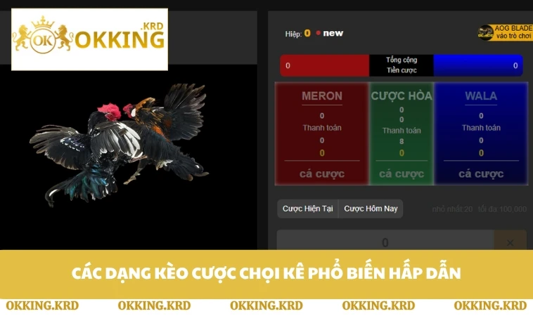 Các dạng kèo cược chọi kê phổ biến hấp dẫn