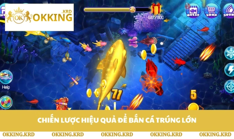 Chiến lược hiệu quả để bắn cá trúng lớn