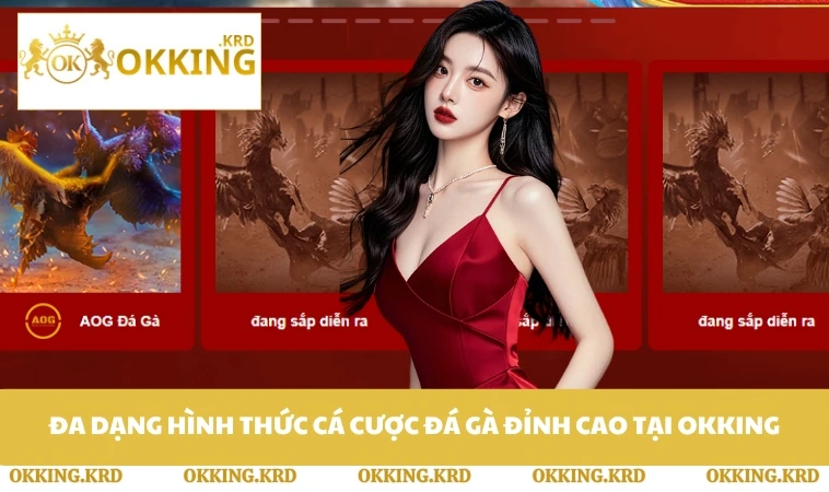 Đa dạng hình thức cá cược đá gà đỉnh cao tại OKKING