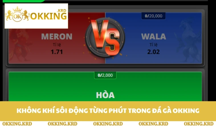 Không khí sôi động từng phút trong đá gà OKKING