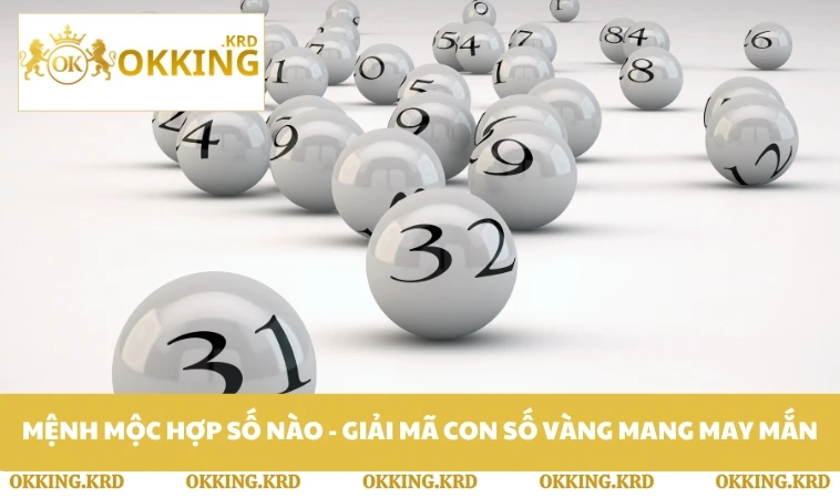 Mệnh Mộc Hợp Số Nào - Giải Mã Con Số Vàng Mang May Mắn